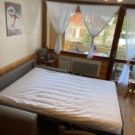 Appartement Vue Montagne Avec Wifi سانت لاري سولون المظهر الخارجي الصورة