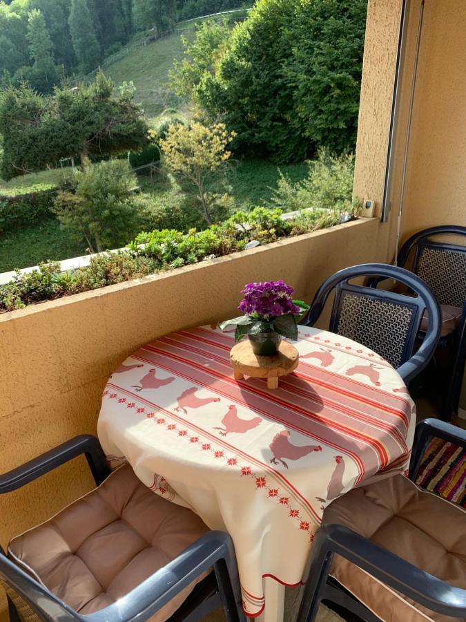 Appartement Vue Montagne Avec Wifi سانت لاري سولون المظهر الخارجي الصورة