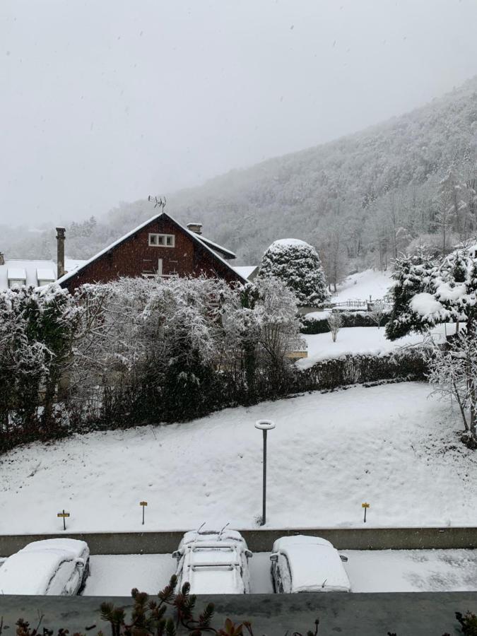 Appartement Vue Montagne Avec Wifi سانت لاري سولون المظهر الخارجي الصورة