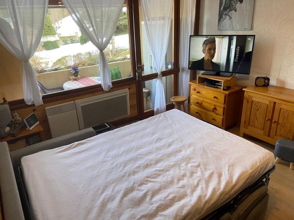 Appartement Vue Montagne Avec Wifi سانت لاري سولون المظهر الخارجي الصورة