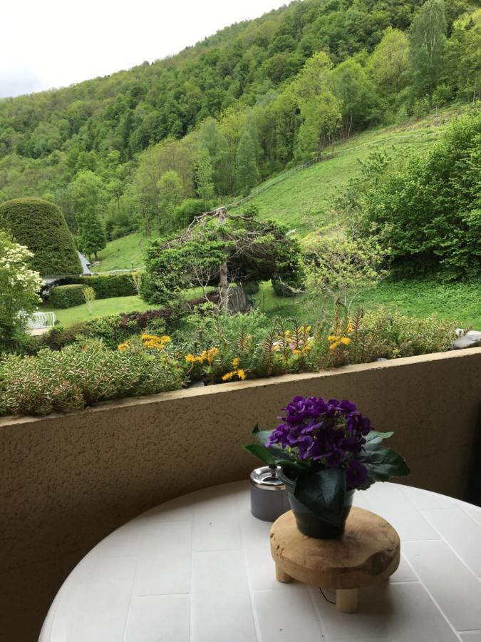Appartement Vue Montagne Avec Wifi سانت لاري سولون المظهر الخارجي الصورة